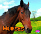 Horses (Pebble Plus: Farm Animals)
