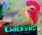 Chickens (Farm Animals)