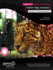 Foundation Adobe Edge Animate
