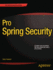 Pro Spring Security