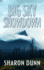 Big Sky Showdown (Love Inspired Suspense)