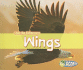 Wings (Acorn)