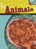 Animals: Multicelled Life (Cells and Life)