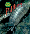 Pillbug (Bug Books; Heinemann First Library)