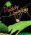 Daddy Longlegs (Bug Books: Heinemann First Library)