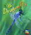 Dragonfly (Bug Books)