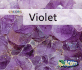 Violet (Acorn)