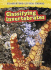 Classifying Invertebrates (Classifying Living Things)