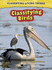 Classifying Birds (Classifying Living Things)