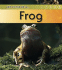 Life Cycle of a Frog