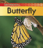 Life Cycle of a Butterfly