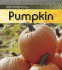 Life Cycle of a Pumpkin