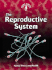 The Reproductive System: Injury, Illness, and Health