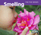 Smelling (the Five Senses)