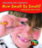 How Small is Small? : Comparing Body Parts (Measuring and Comparing)