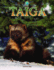 Taiga (Biomes Atlases)