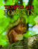 Temperate Forests (Biomes Atlases)