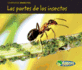 Las Partes De Los Insectos = Bug Parts