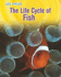 The Life Cycle of Fish (Life Cycles: Heinemann Infosearch)