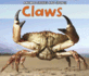 Claws (Animal Spikes and Spines)