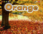 Orange (Colors All Around Us)