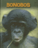 Bonobos (Heinemann Infosearch: Living in the Wild: Primates)