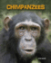 Chimpanzees (Living in the Wild: Primates)