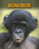 Bonobos (Living in the Wild: Primates)