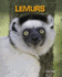 Lemurs (Living in the Wild: Primates)