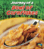 Journey of a Bowl of Cornflakes