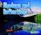 Shadows and Reflections (Acorn: Light All Around Us)
