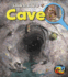 Cave (Look Inside a)