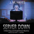 Server Down (Mad Dog & Englishman Mysteries)