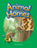 Animal Homes: Animals (Literacy, Language, and Learning)
