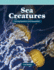 Sea Creatures: Solving Equations and Inequalities