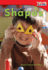 Shapes (Time for Kids� Nonfiction Readers)
