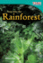 Teacher Created Materials-Time for Kids Informational Text: Step Into the Rainforest-Grade 2-Guided Reading Level K