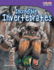 Teacher Created Materials-Time for Kids Informational Text: Incredible Invertebrates-Grade 3-Guided Reading Level N