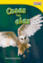 Teacher Created Materials-Time for Kids Informational Text: Cosas Con Alas (Things With Wings)-Grade 1-Guided Reading Level F