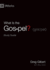 What is the Gospel? Study Guide
