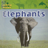 Elephants (All About Animals)