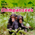 Chimpanzees (Amazing Animals)