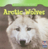 Arctic Wolves (Animals That Live in the Tundra)