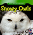 Snowy Owls (Animals That Live in the Tundra)