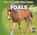 Foals