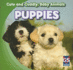 Puppies (Cute and Cuddly: Baby Animals)