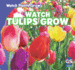 Watch Tulips Grow (Watch Plants Grow! )