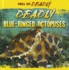 Deadly Blue-Ringed Octopuses (Small But Deadly)