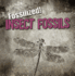 Insect Fossils (Fossilized! )