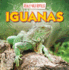 Iguanas (Really Wild Reptiles)